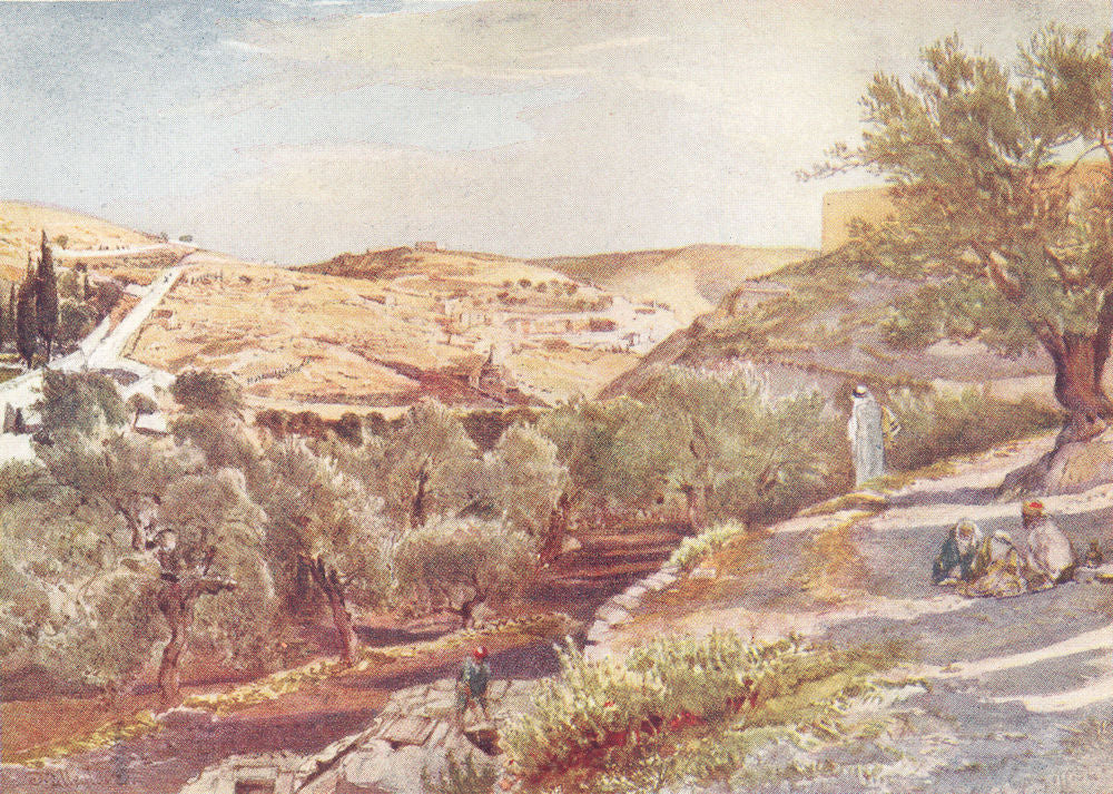 ISRAEL. The upper valley of the Kidron looking south 1902 old antique print